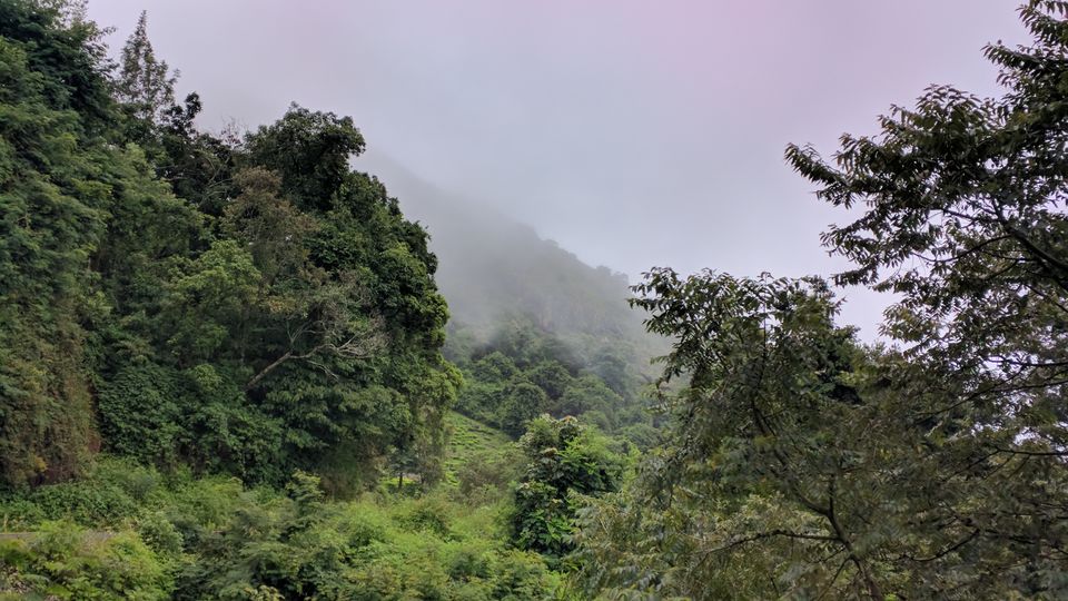 Photo of Revving your engine on your Birthday : Bike trip to the Nilgiri Hills. 7/17 by Aman Kumar