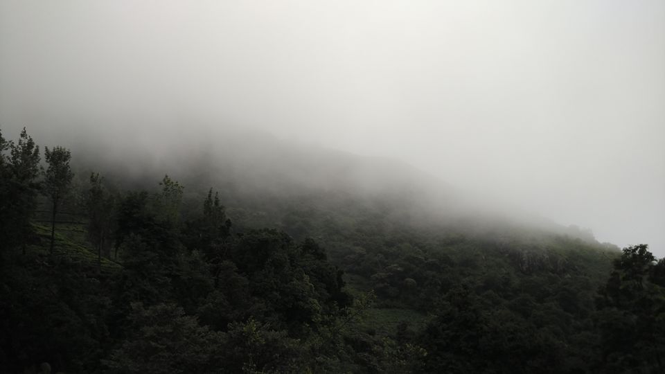 Photo of Revving your engine on your Birthday : Bike trip to the Nilgiri Hills. 8/17 by Aman Kumar