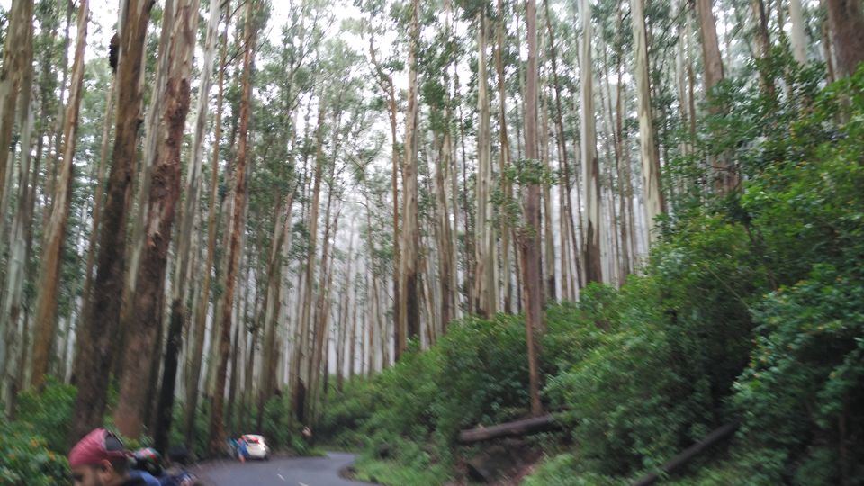 Photo of Revving your engine on your Birthday : Bike trip to the Nilgiri Hills. 9/17 by Aman Kumar