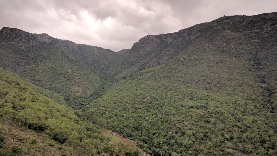Photo of Revving your engine on your Birthday : Bike trip to the Nilgiri Hills. 15/17 by Aman Kumar