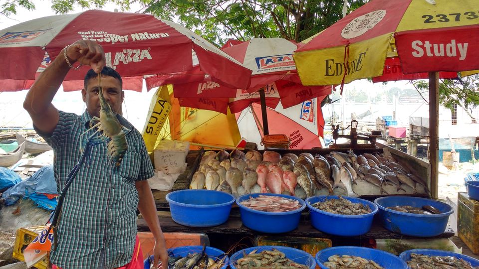 Photo of An accumulated travel tale- Kuzhupilly & Fort Kochi by Pritishree Dash