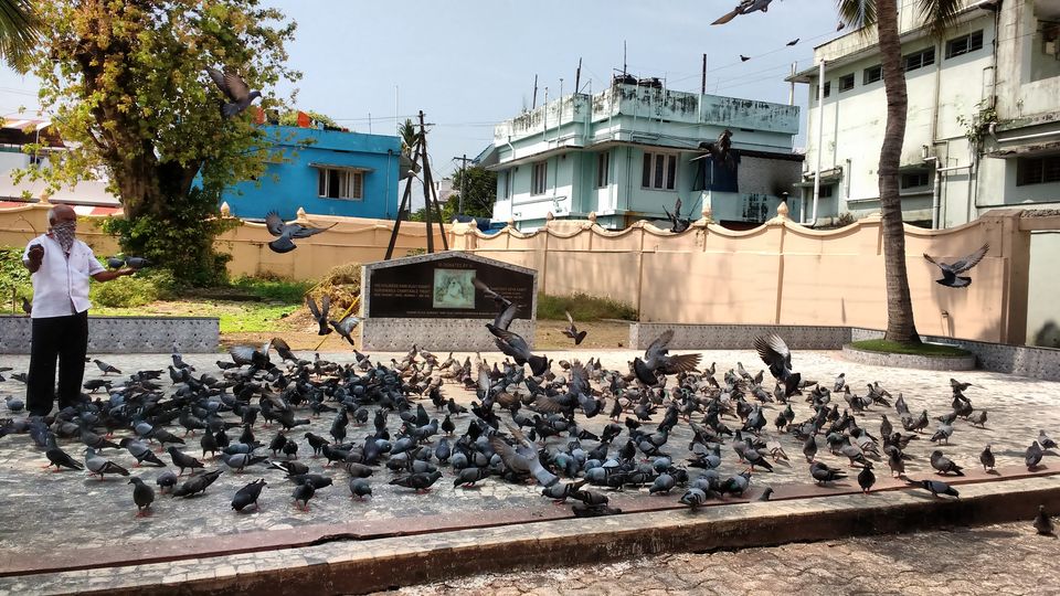 Photo of An accumulated travel tale- Kuzhupilly & Fort Kochi by Pritishree Dash