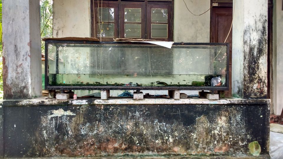 Photo of An accumulated travel tale- Kuzhupilly & Fort Kochi by Pritishree Dash
