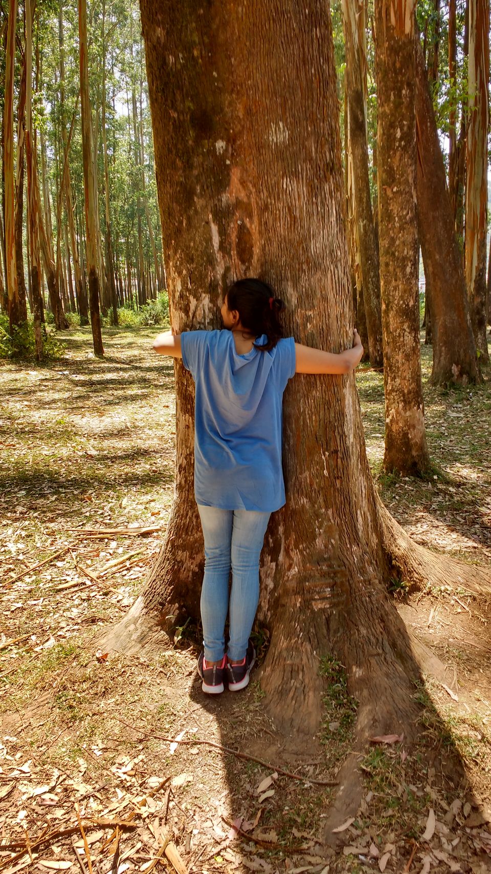 Photo of A picture story- Footloose in the Hills of Munnar 4/13 by Pritishree Dash
