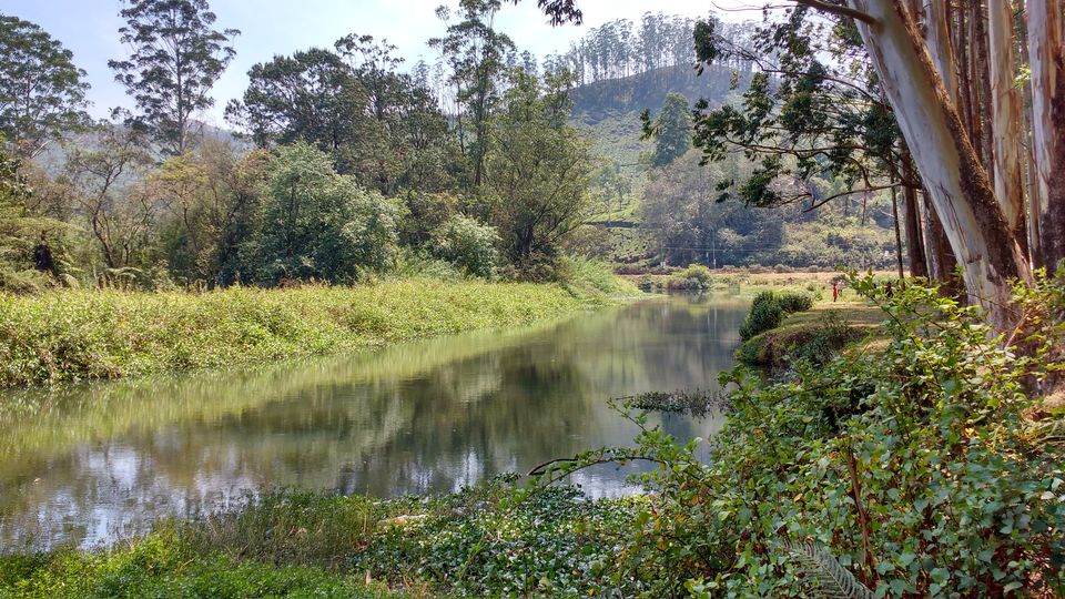 Photo of A picture story- Footloose in the Hills of Munnar 6/13 by Pritishree Dash