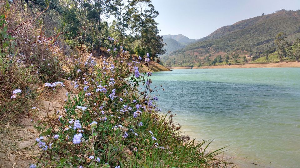 Photo of A picture story- Footloose in the Hills of Munnar 13/13 by Pritishree Dash