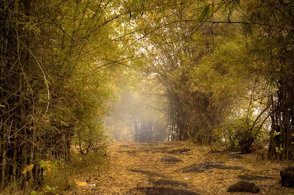 Photo of Chellarcovil, Kerala, India by Johny George