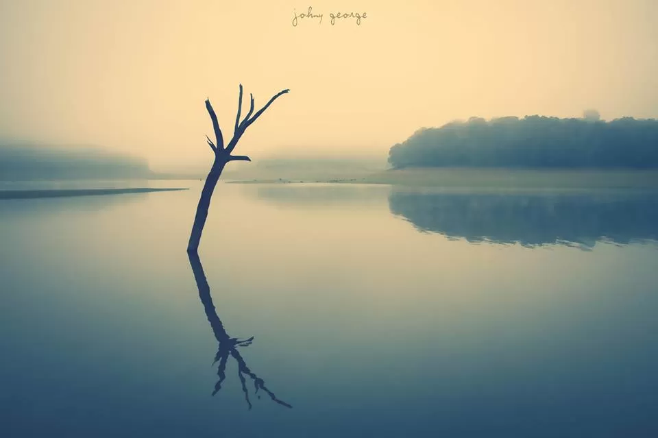 Photo of Thekkady, Kumily, Kerala, India by Johny George