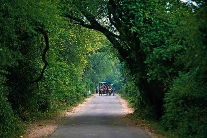 Photo of A Day at Bharatpur National Park by Manish Kumar