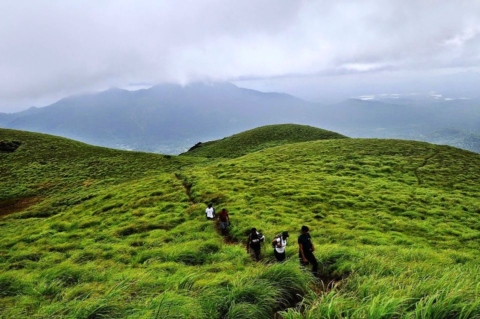 Photo of Chembra Peak Road, Meppadi, Kerala, India by Manish Kumar