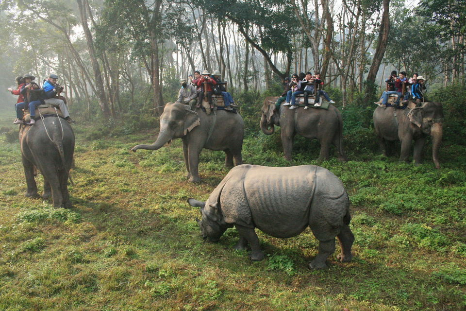 Photo of Chitwan National Park, Narayani, Central Development Region, Nepal by Manish Kumar