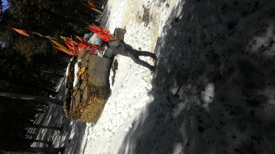 Photo of Auli-Joshimath UTTRAKHAND by Nitesh Anand Rai