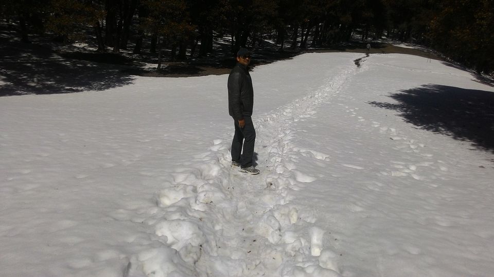 Photo of Auli-Joshimath UTTRAKHAND by Nitesh Anand Rai
