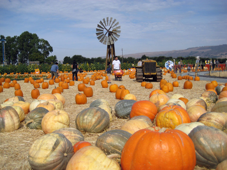 Photo of San Jose Car Trip: 6 Amazing Sights to Go with Kids 3/7 by Iness Greener