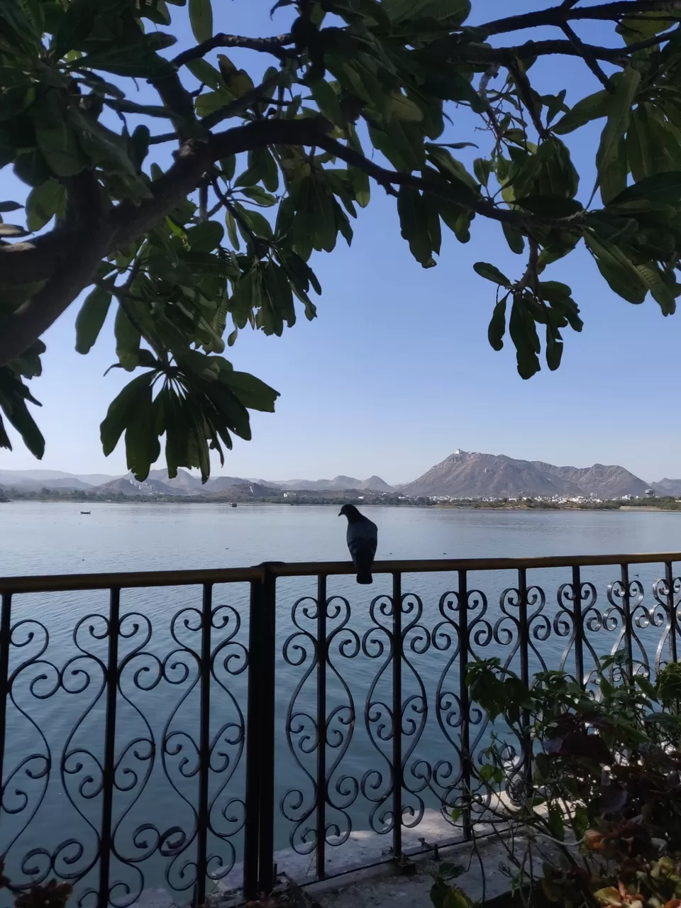 Photo of Udaipur, Rajasthan, India by Varun Vashishtha