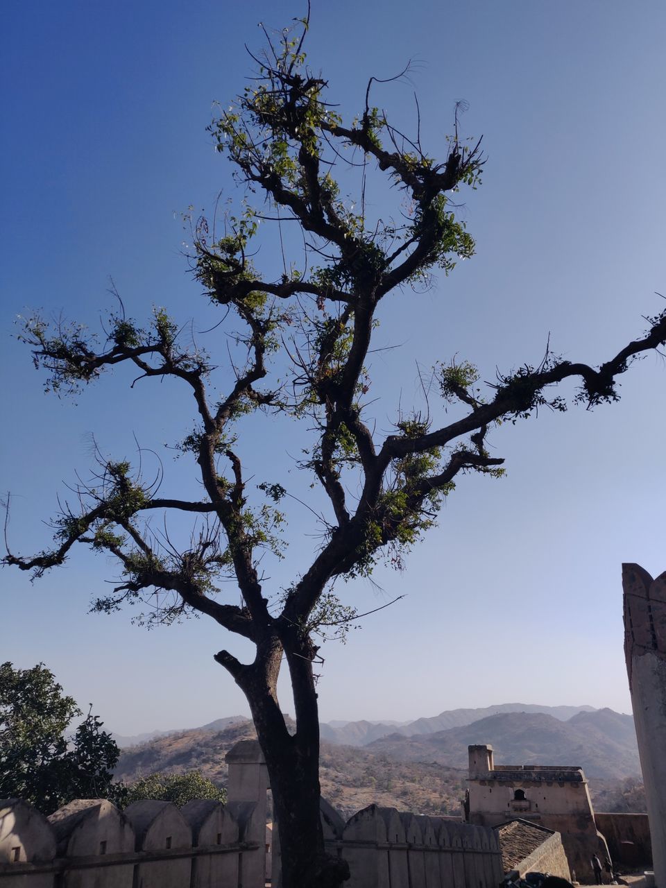 Photo of Kumbhalgarh, Rajasthan, India by Varun Vashishtha
