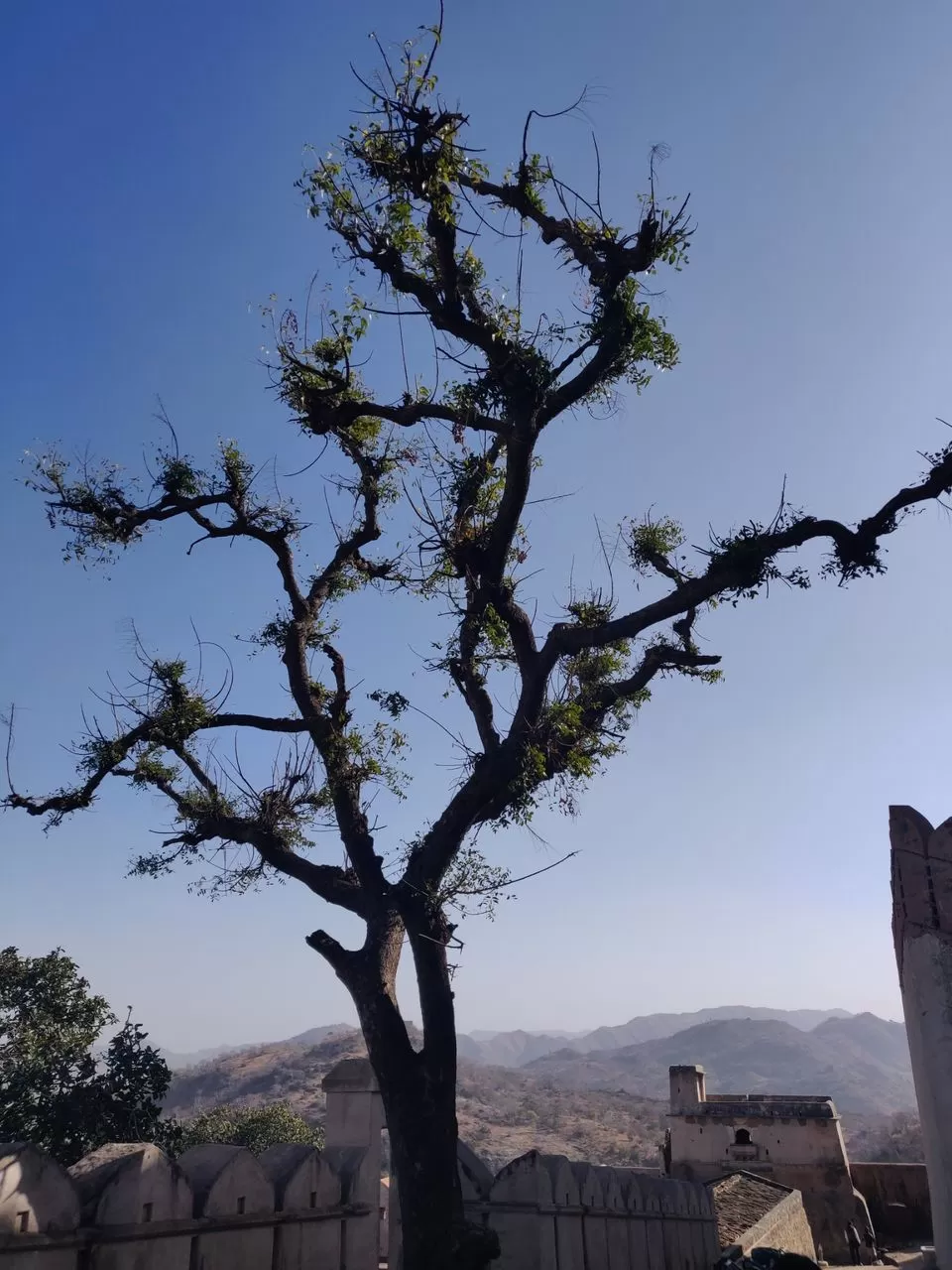 Photo of Kumbhalgarh, Rajasthan, India by Varun Vashishtha