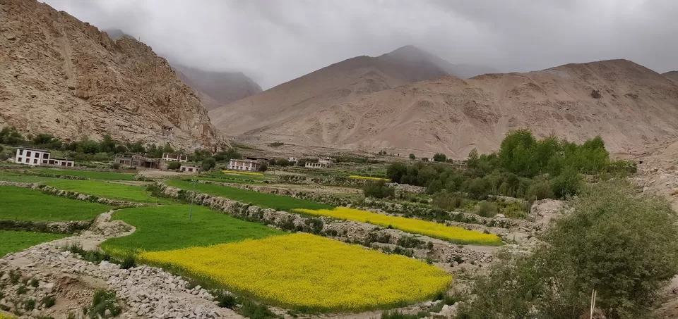 Photo of Experience Tranquility in Ladakh's High-Altitude Paradise by Shivani Priyadarshini