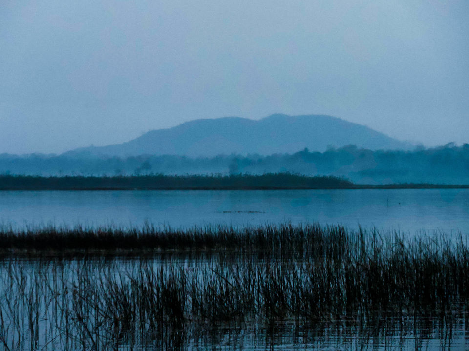 Photo of Baranti : spending a day in Palash Heven by Sourav Halder