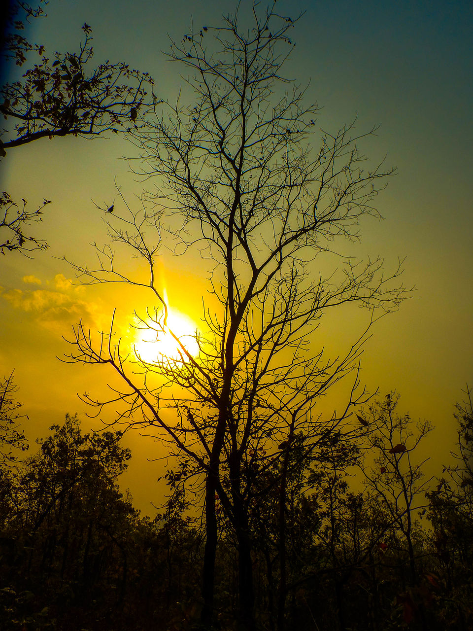 Photo of Baranti : spending a day in Palash Heven by Sourav Halder