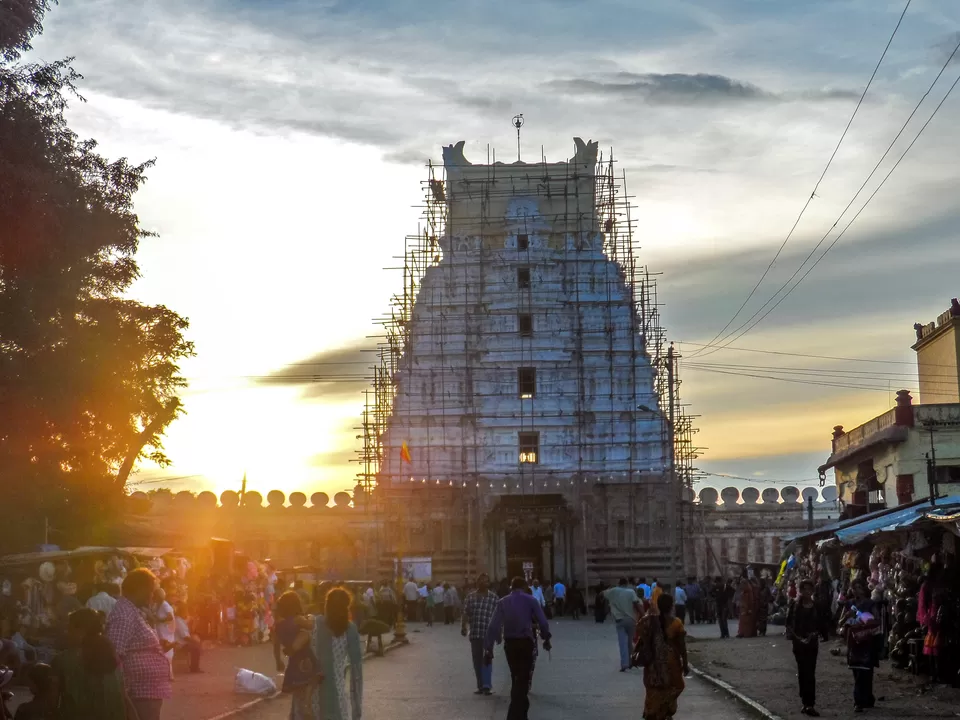 Photo of Mysore: A day wondering across the majestic city by Sourav Halder