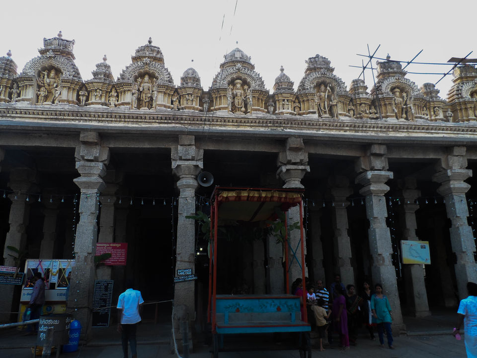 Photo of Mysore: A day wondering across the majestic city by Sourav Halder