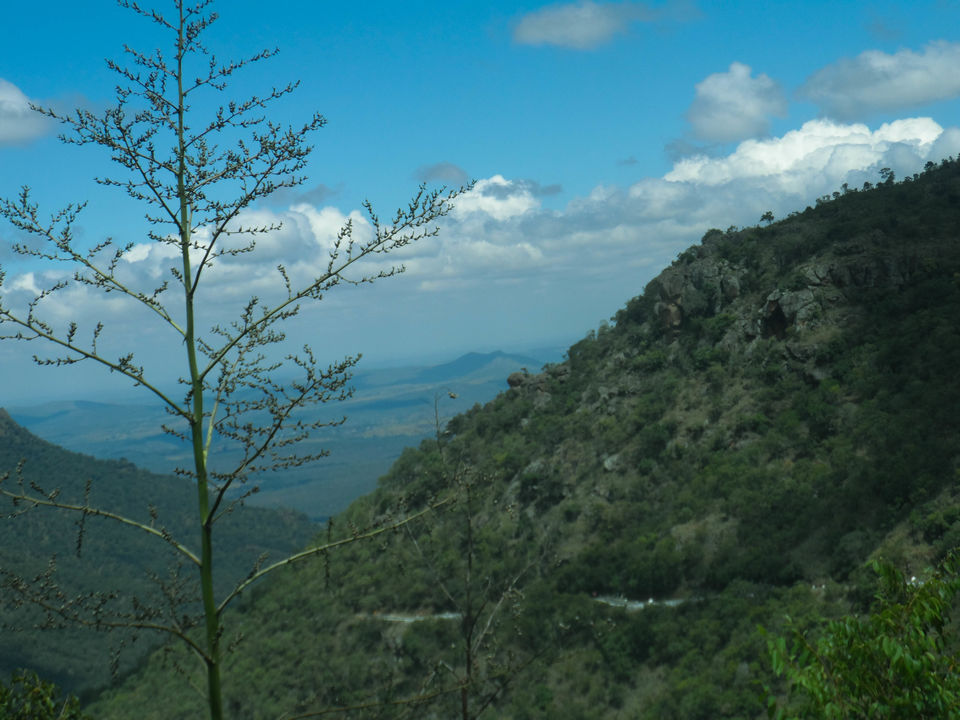 Photo of Mysore to Ooty via Bandipur Forest : a road trip to remember by Sourav Halder