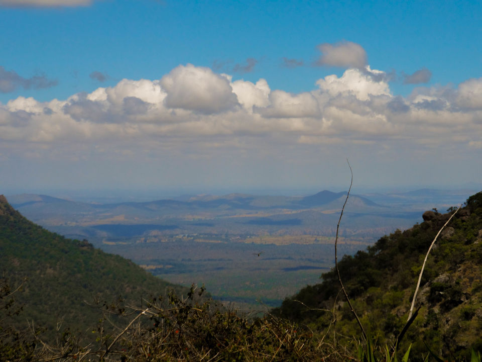 Photo of Mysore to Ooty via Bandipur Forest : a road trip to remember by Sourav Halder