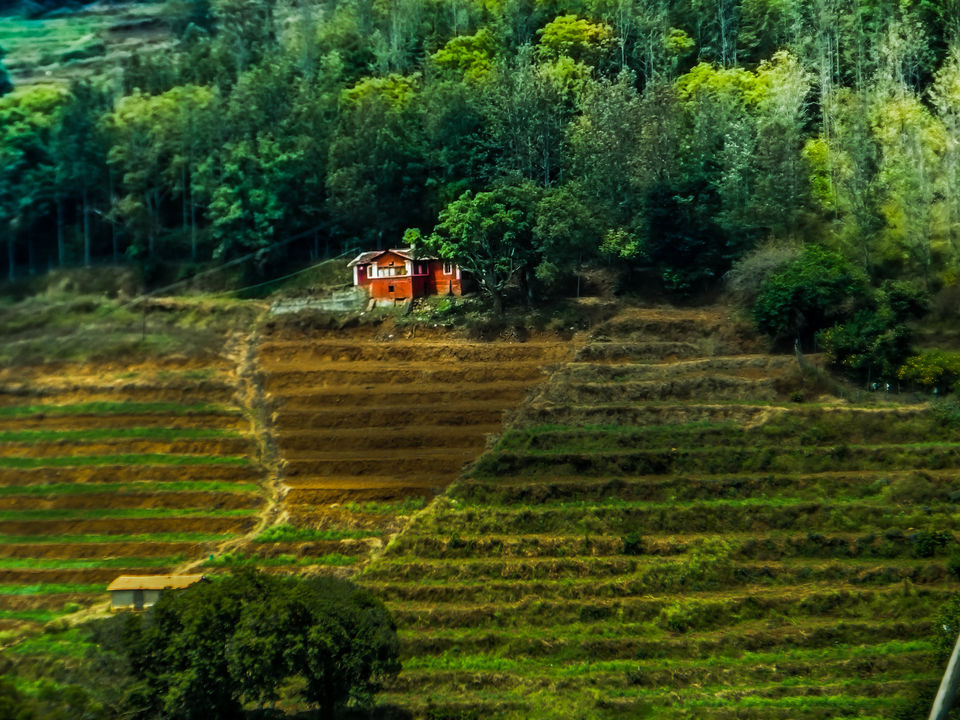Photo of Mysore to Ooty via Bandipur Forest : a road trip to remember by Sourav Halder