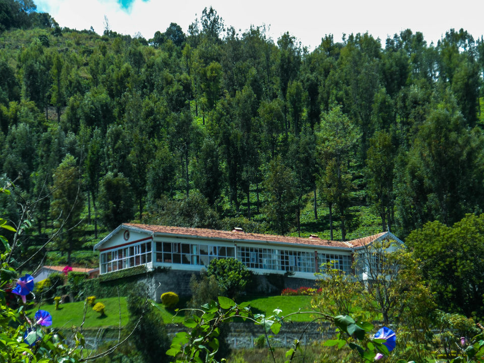 Photo of Mysore to Ooty via Bandipur Forest : a road trip to remember by Sourav Halder