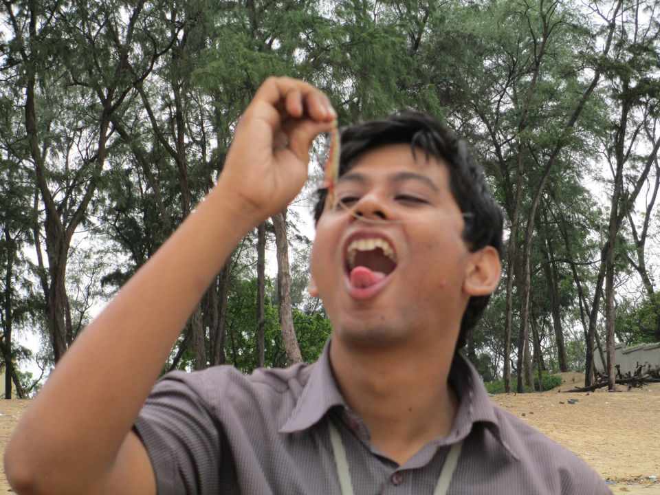 Photo of Chandipur, Odisha, India by Sourav Halder