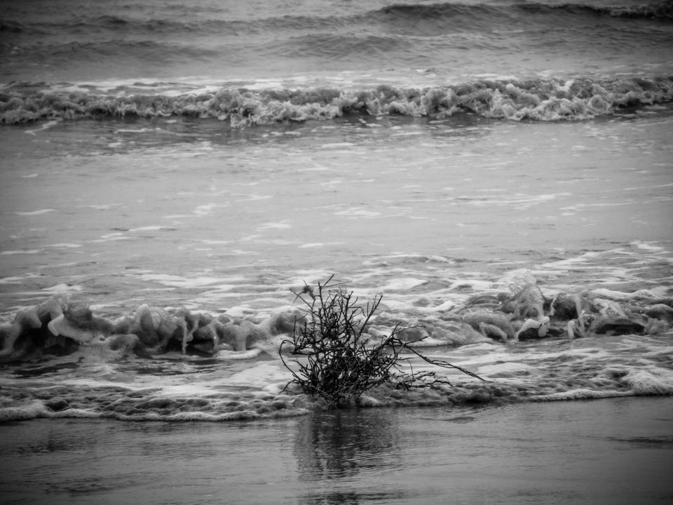 Photo of A day in solitude with the roaring sea of Chandipur by Sourav Halder