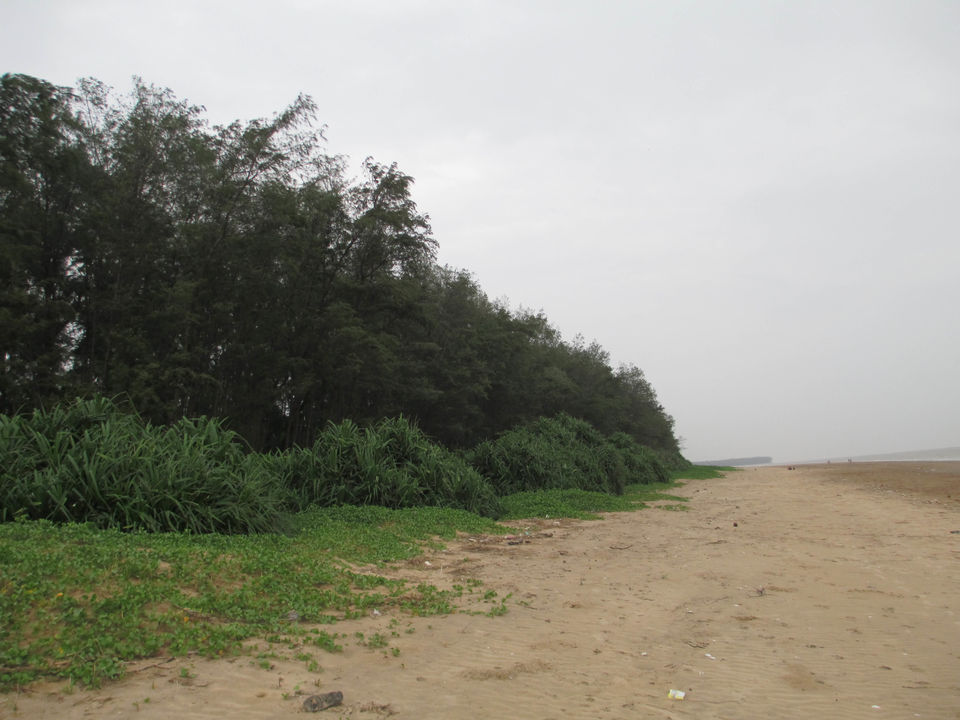 Photo of A day in solitude with the roaring sea of Chandipur by Sourav Halder