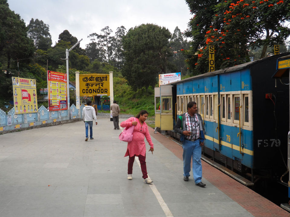 Photo of Connor to Ooty : Journey through the heritage tracks of Nilgiri Mountain Railways 2/17 by Sourav Halder