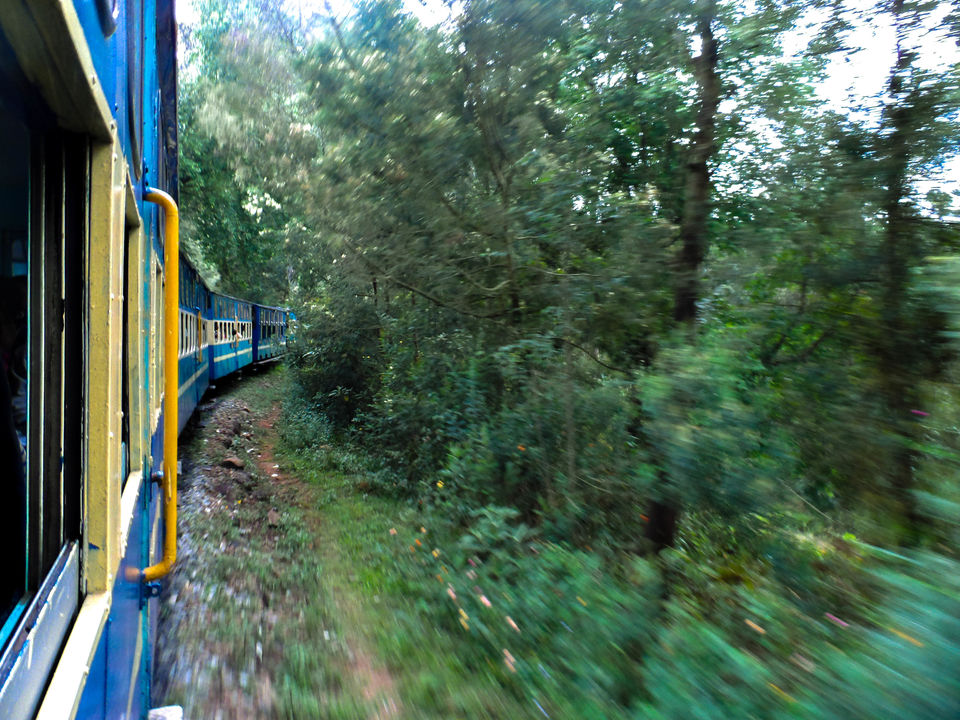Photo of Connor to Ooty : Journey through the heritage tracks of Nilgiri Mountain Railways 6/17 by Sourav Halder