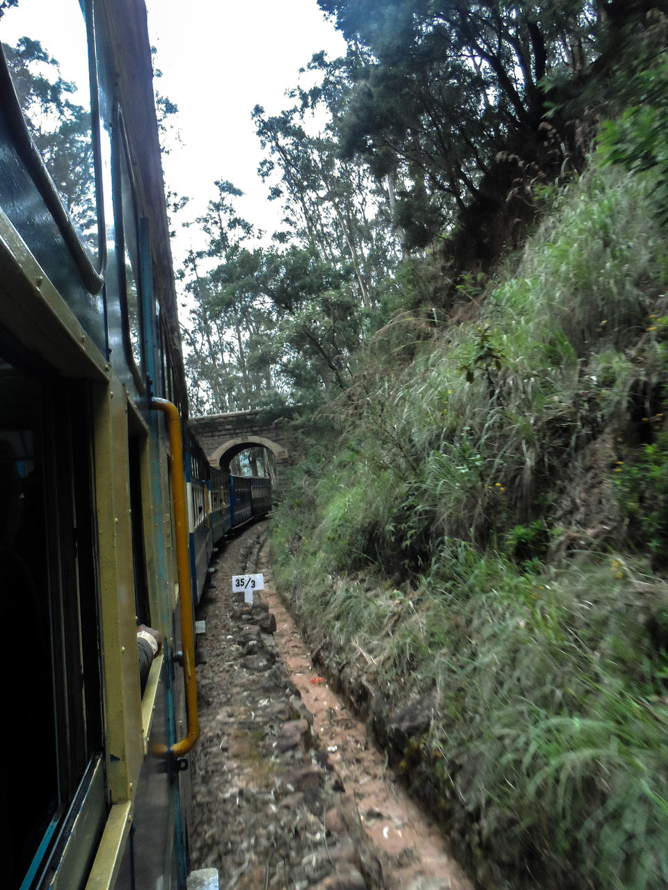 Photo of Connor to Ooty : Journey through the heritage tracks of Nilgiri Mountain Railways 7/17 by Sourav Halder