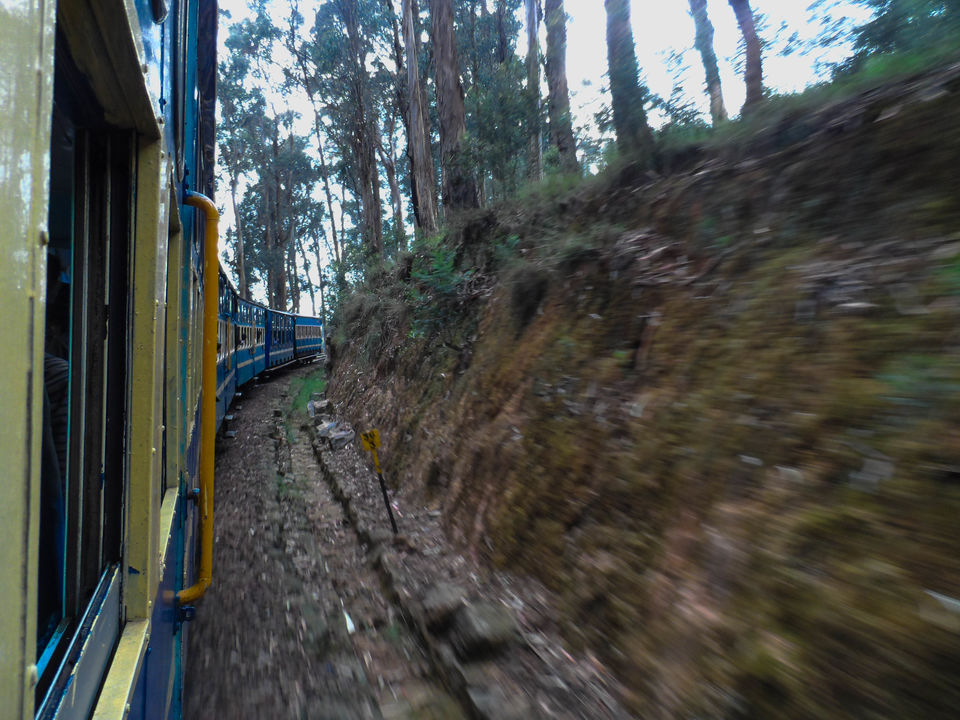 Photo of Connor to Ooty : Journey through the heritage tracks of Nilgiri Mountain Railways 8/17 by Sourav Halder