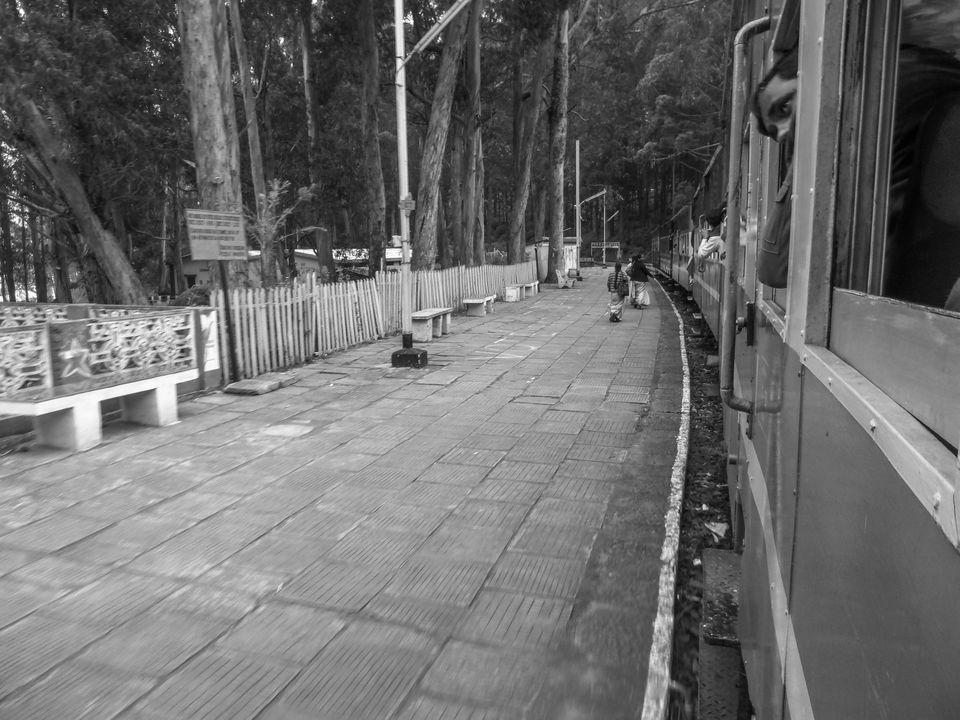 Photo of Connor to Ooty : Journey through the heritage tracks of Nilgiri Mountain Railways 9/17 by Sourav Halder