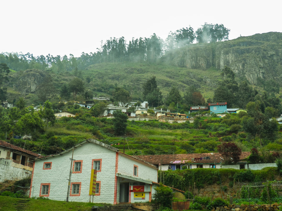 Photo of Connor to Ooty : Journey through the heritage tracks of Nilgiri Mountain Railways 10/17 by Sourav Halder