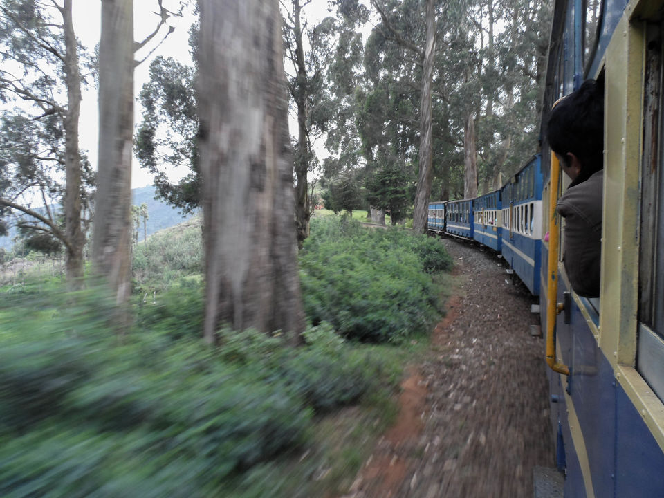 Photo of Connor to Ooty : Journey through the heritage tracks of Nilgiri Mountain Railways 12/17 by Sourav Halder