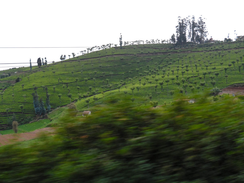 Photo of Connor to Ooty : Journey through the heritage tracks of Nilgiri Mountain Railways 14/17 by Sourav Halder