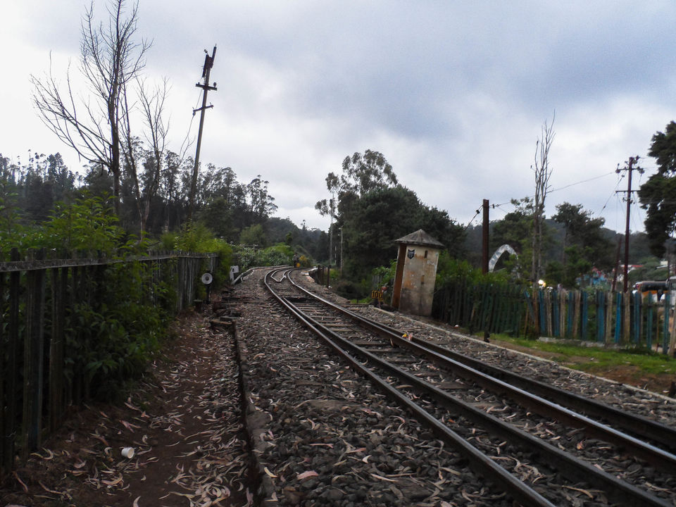 Photo of Connor to Ooty : Journey through the heritage tracks of Nilgiri Mountain Railways 16/17 by Sourav Halder