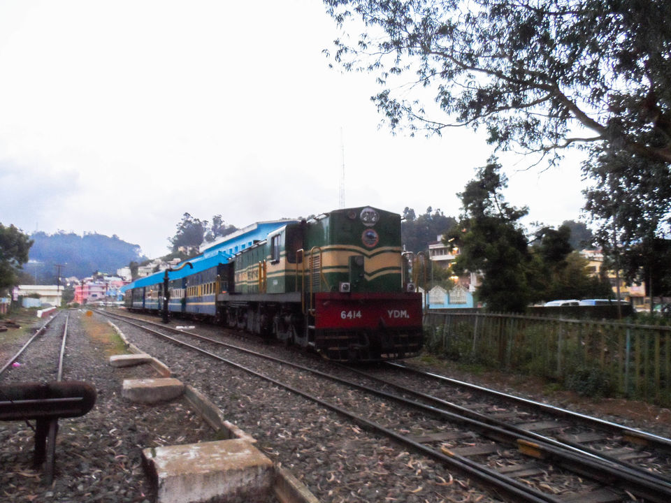 Photo of Connor to Ooty : Journey through the heritage tracks of Nilgiri Mountain Railways 17/17 by Sourav Halder