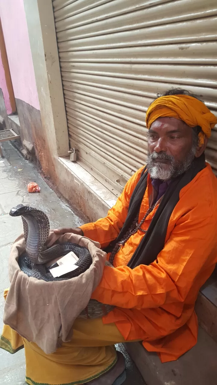 Photo of Banaras, Uttar Pradesh, India by Rashima Sharma