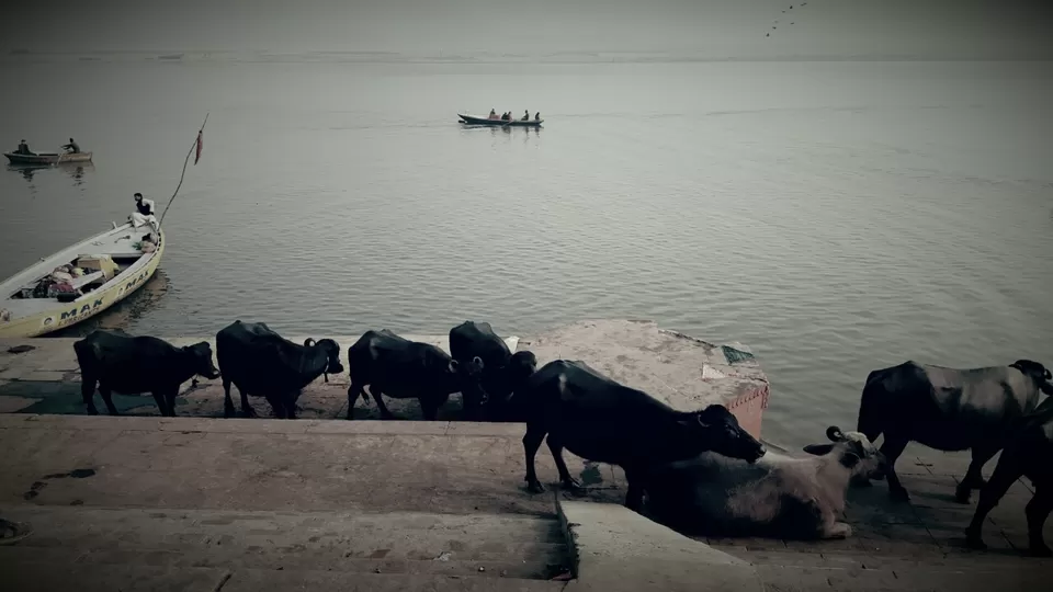 Photo of Banaras, Uttar Pradesh, India by Rashima Sharma