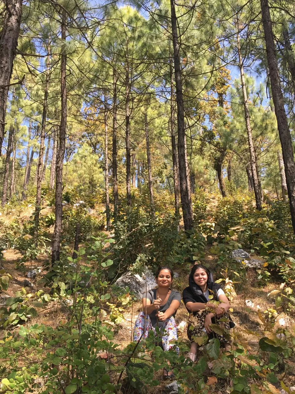 Photo of Love from Lansdowne by Silvi Das