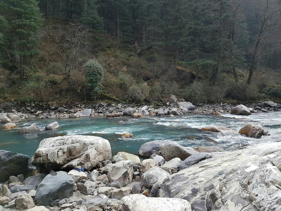 Photo of Jim Corbett National Park, Ramnagar, Uttarakhand, India by Silvi Das