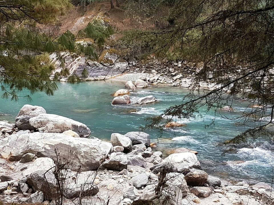 Photo of Jim Corbett National Park, Ramnagar, Uttarakhand, India by Silvi Das