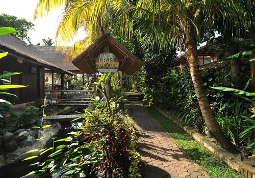 Photo of Explore the uplands of Bali in Ubud | GarimaShares 3/3 by Garima Bhaskar