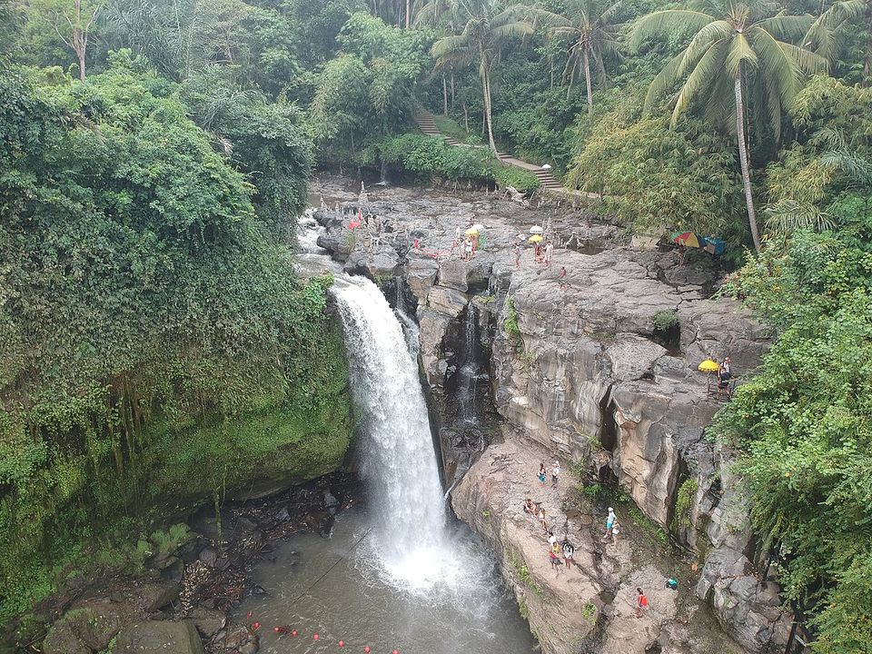 Photo of Explore the uplands of Bali in Ubud | GarimaShares by Garima Bhaskar